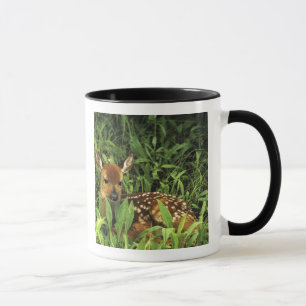 Taza Norteamérica, EE. UU., Minnesota. Cola blanca