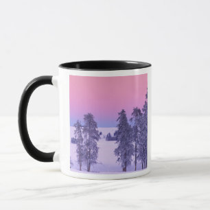 Taza Norteamérica, EE. UU., Montana, Yellowstone