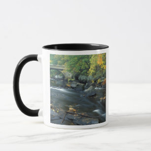 Taza Norteamérica, EE. UU., NH, El puente en Packers