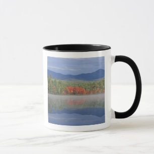 Taza Norteamérica, EE. UU., NH, Reflejos de otoño en