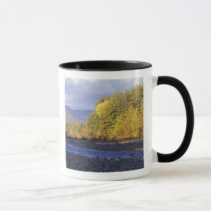 Taza Norteamérica, EE. UU., NH, río Saco. Guijarro