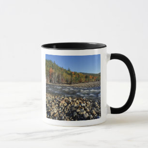 Taza Norteamérica, EE. UU., NH, una playa de guijarros 