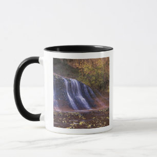 Taza Norteamérica, EE. UU., Utah, Parque Nacional Zion.