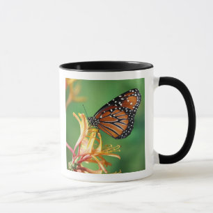 Taza Norteamérica, EE. UU., WA, Seattle, Parque Woodlan
