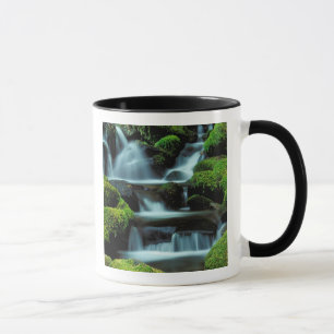 Taza Norteamérica; EE. UU.; Washington, cascada Sol Duc