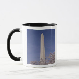 Taza Norteamérica, EE. UU., Washington D.C.. Washington