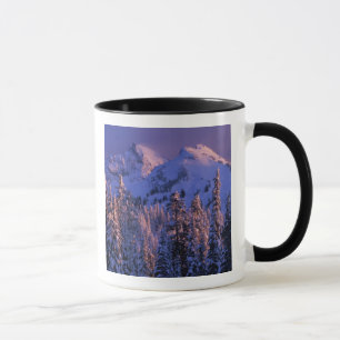 Taza Norteamérica, EE. UU., Washington, Monte Rainier 4