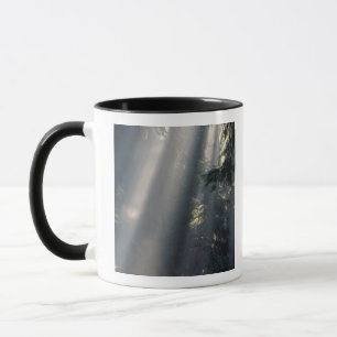 Taza Norteamérica, EE. UU., Washington, Parque Nacional