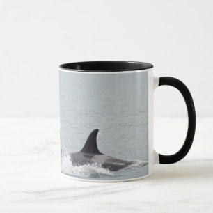 Taza Norteamérica, EE. UU., Washington, San Juan