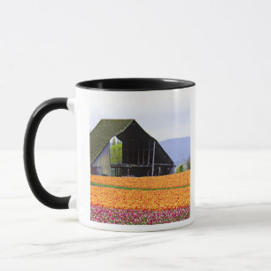 Taza Norteamérica, EE. UU., Washington, Valle de Skagit