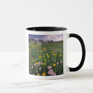Taza Norteamérica, EE. UU., Wyoming, Yellowstone 2