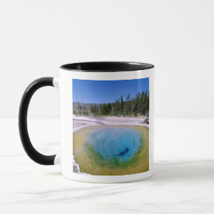 Taza Norteamérica, EE. UU., Wyoming, Yellowstone 2