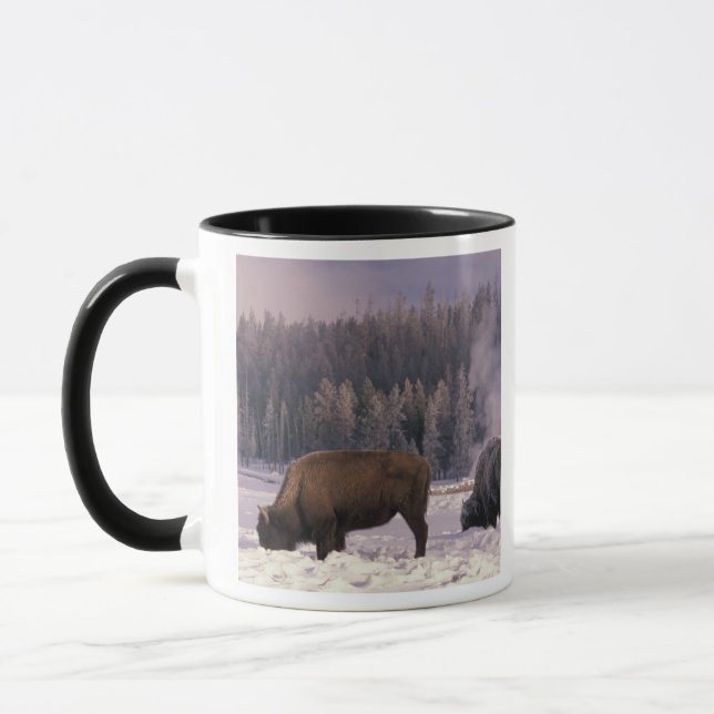 Taza Norteamérica, EE.UU., Wyoming, Yellowstone NP, (Izquierda)