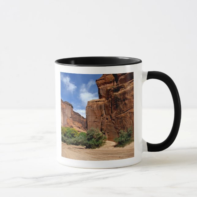 Taza Norteamérica, Estados Unidos, Arizona, Indio Navaj (Derecha)