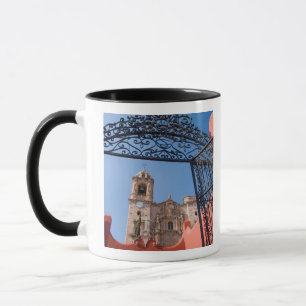 Taza Norteamérica, México, Estado de Guanajuato. La