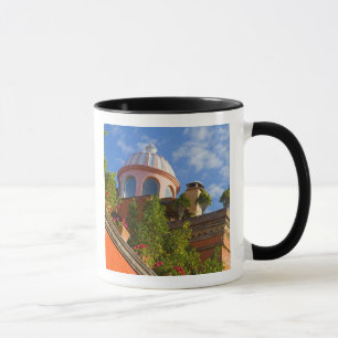 Taza Norteamérica, México, estado de Guanajuato, San 4
