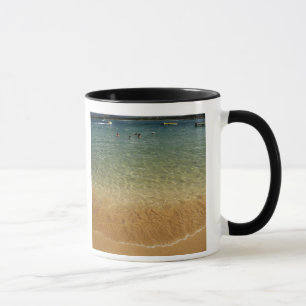 Taza Norteamérica, México, Estado de Guerrero, Ixtapa