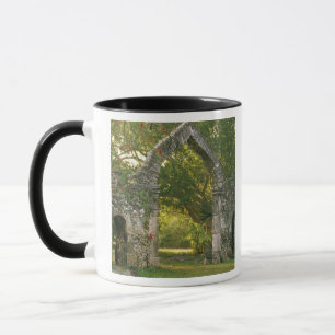 Taza Norteamérica, México, Península de Yucatán,