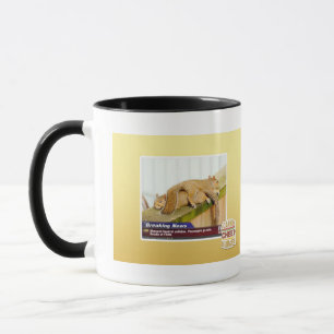 Taza Noticias de última hora
