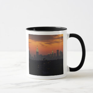 Taza Nueva York, Estados Unidos. Línea aérea del centro