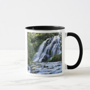 Taza Nueva Zelanda, Isla Norte, Karangahake Gorge,