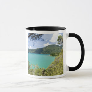 Taza Nueva Zelanda, Isla Sur, Marlborough Sounds.