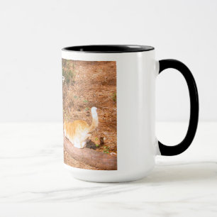 Taza nunca pare