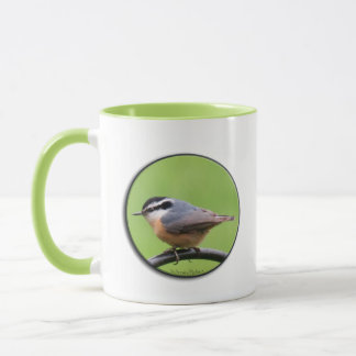 Taza Nuthatch de pecho rojo