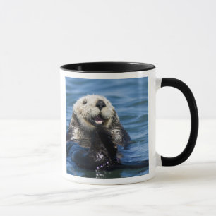 Taza Nutria marina de California Enhydra lutris) se aci