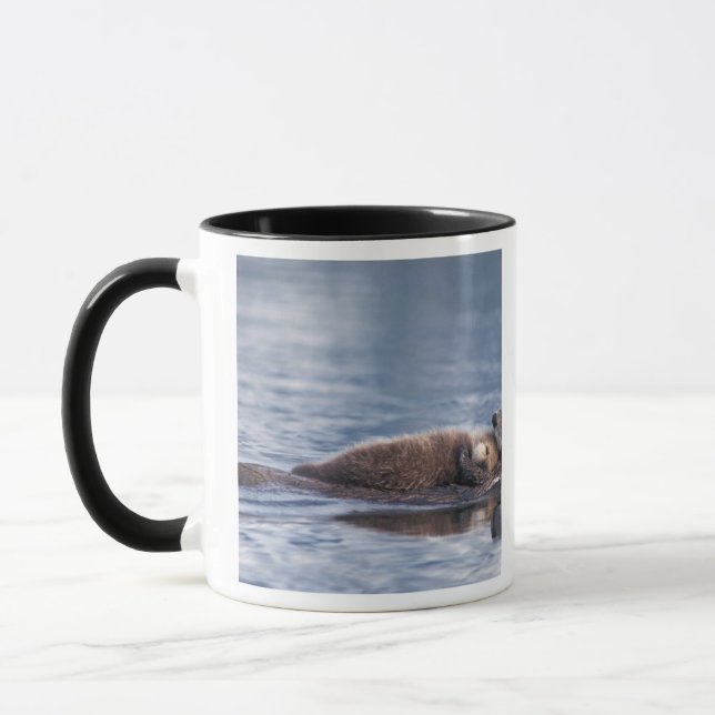 Taza nutria marina, Enhydra lutris lutris (Izquierda)