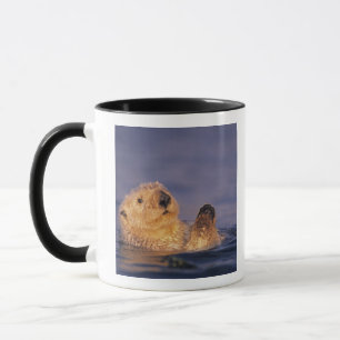 Taza Nutrias marinas, Enhydra lutris 2