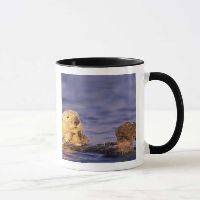 Taza Nutrias marinas, Enhydra lutris 4 (Derecha)