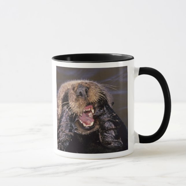 Taza Nutrias marinas, Enhydra lutris 6 (Derecha)
