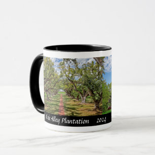 Taza Oak Alley Plantation, Louisiana - Árboles de roble