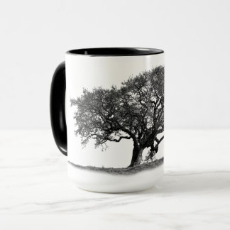 TAZA OAK TREE
