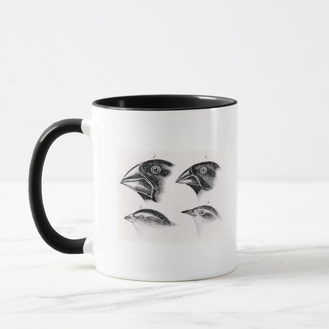 Taza Observaciones del pájaro de Darwin (Izquierda)