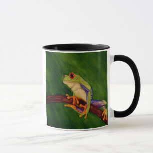 Taza observada rojo de la rana arbórea