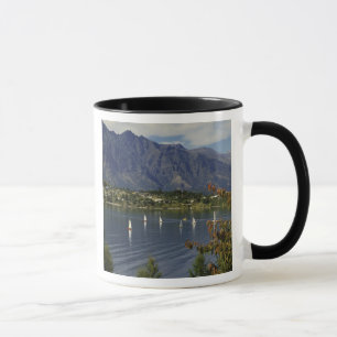 Taza Oceanía, Nueva Zelanda, Isla del Sur, Queenstwon.