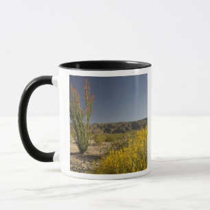 Taza Ocotillo y sen del desierto