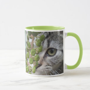 Taza Ocultando Mug Gatita