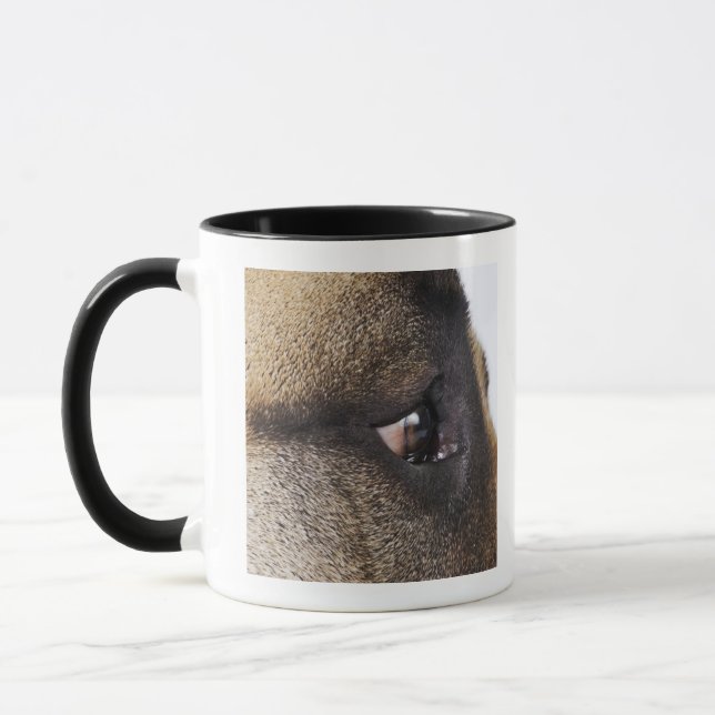 Taza Ojo de great dane (Izquierda)