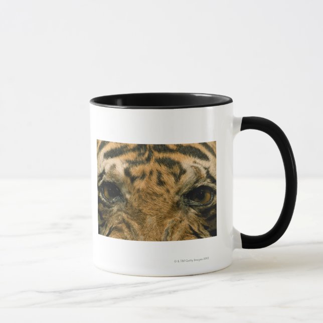 Taza Ojos del tigre (Derecha)