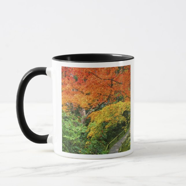 Taza Okochi Sanso, Arashiyama, Kyoto, Japón 2 (Izquierda)