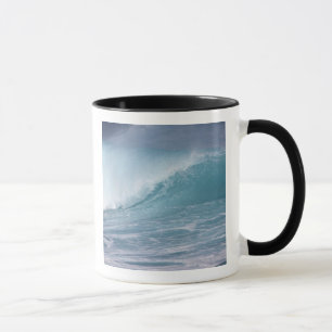 Taza Ola azul chocando, Maui, Hawái, EE. UU. 2