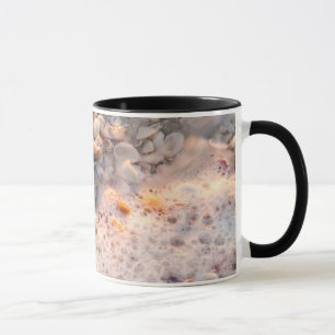 Taza Oleaje entrante y conchas marinas en la isla de Sa