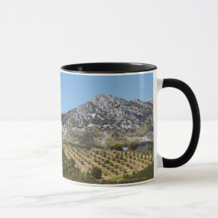 Taza Olivares