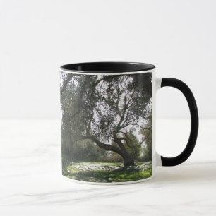 Taza Olive Trees Mug