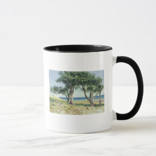 Taza Olivos viejos, Bordighera