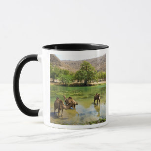 Taza Omán, Wadi darbat