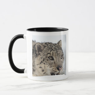 Taza Onza (uncia de Uncia) 2